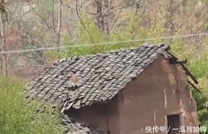 从今年起农村3种情况不能再种地了，不懂的快找人问问