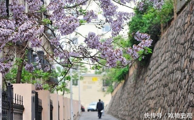  躲开|门前种树有门道，5种树镇宅，运道好，3种树要躲开，你了解