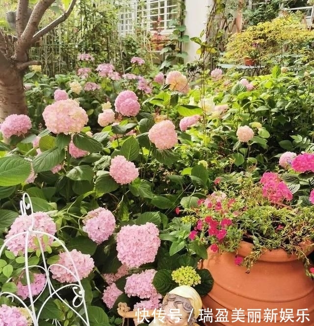  「平方」有了30平方的小院，能将日子过成了诗？简单而精致，优雅而从容！