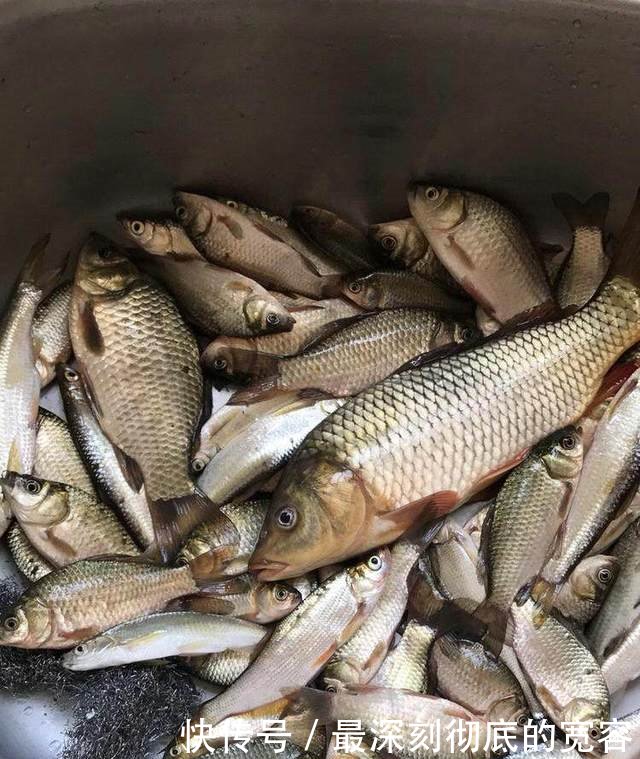 水位下降，水库底下古建筑露出，钓鱼人猜测是藏宝洞