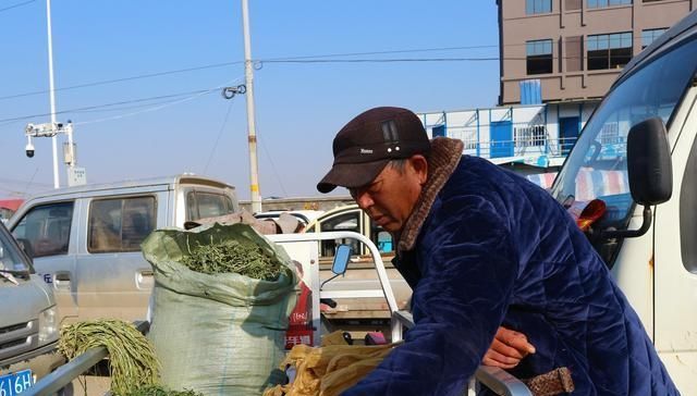  「种植」农村大叔种植特色，7亩收入70000元，种植秘诀在哪里