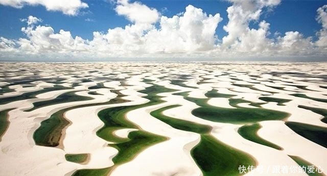 世界最“失败”沙漠：本该黄沙漫天寸草不生，却遍地湖泊鱼虾成群