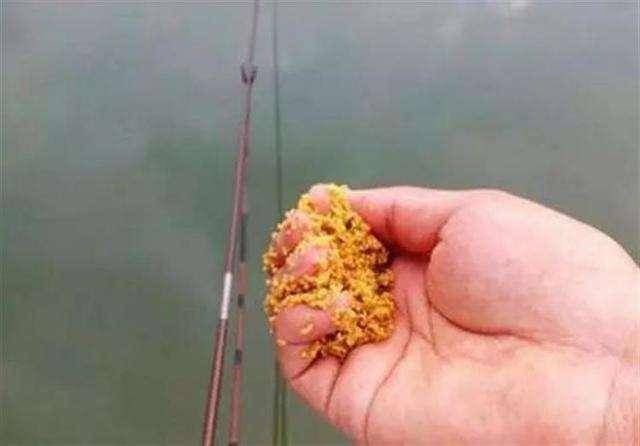 『情况』不打窝渔获好,打窝后反而没渔获,到底是什么情况