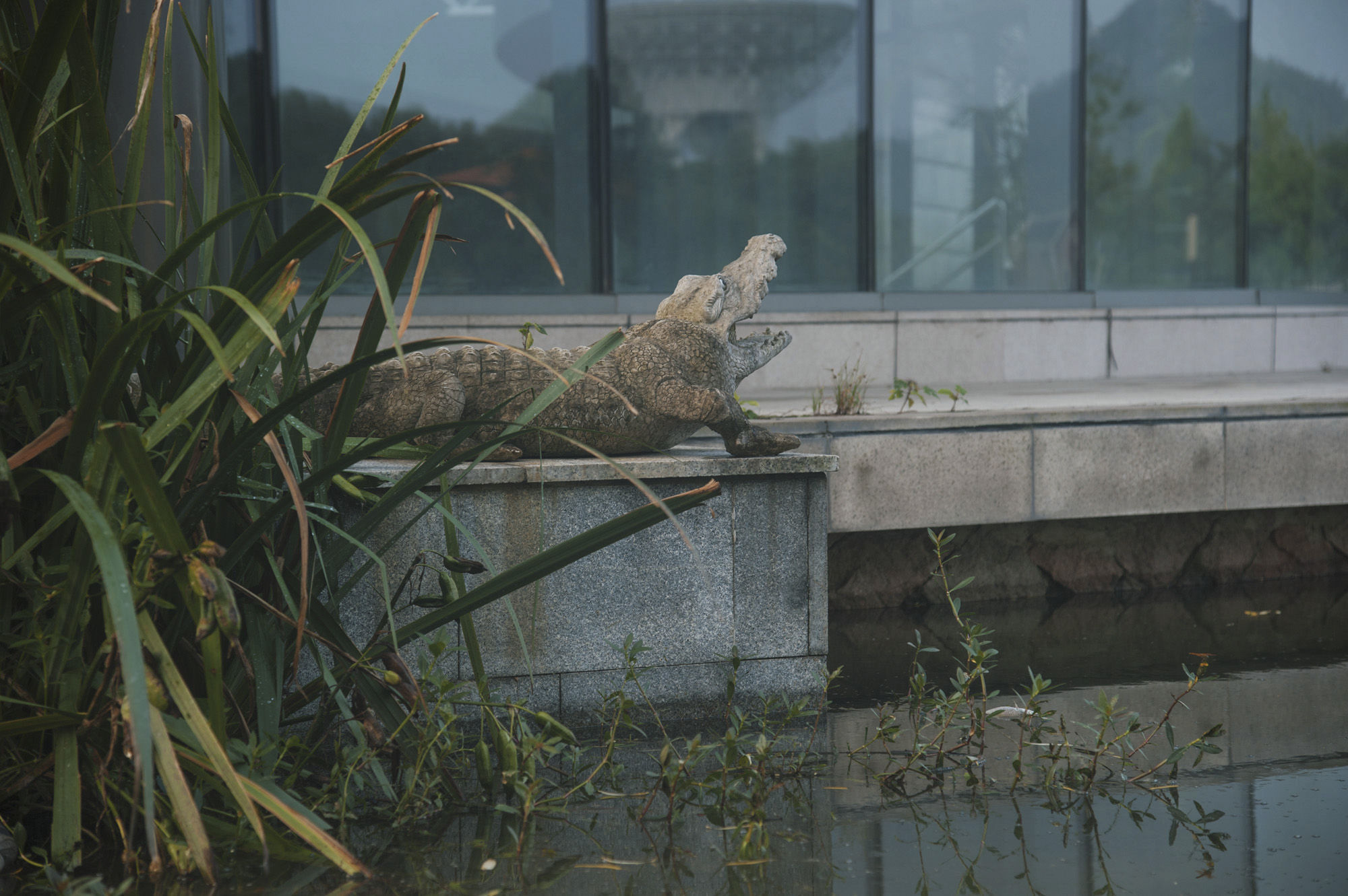 现实版泰囧上海自驾游,历经延误、爆胎、鳄鱼还有暴雨,湿身更撩