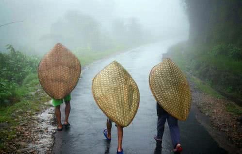 被称为世界“湿极”，一年平均下335天雨，被子上都要长蘑菇！