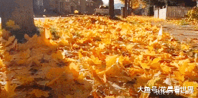 「孩子」搞笑GIF趣图:妹子,请你放开那孩子,有什么事冲我来