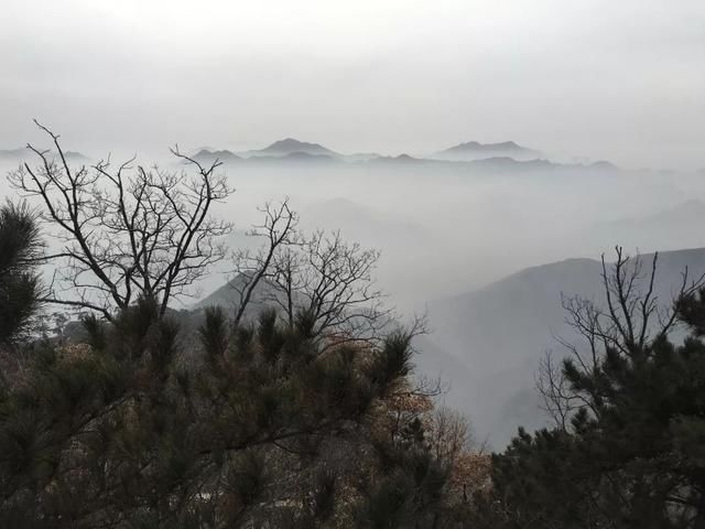 冬日纷纷的雨，悠远寂静的山！