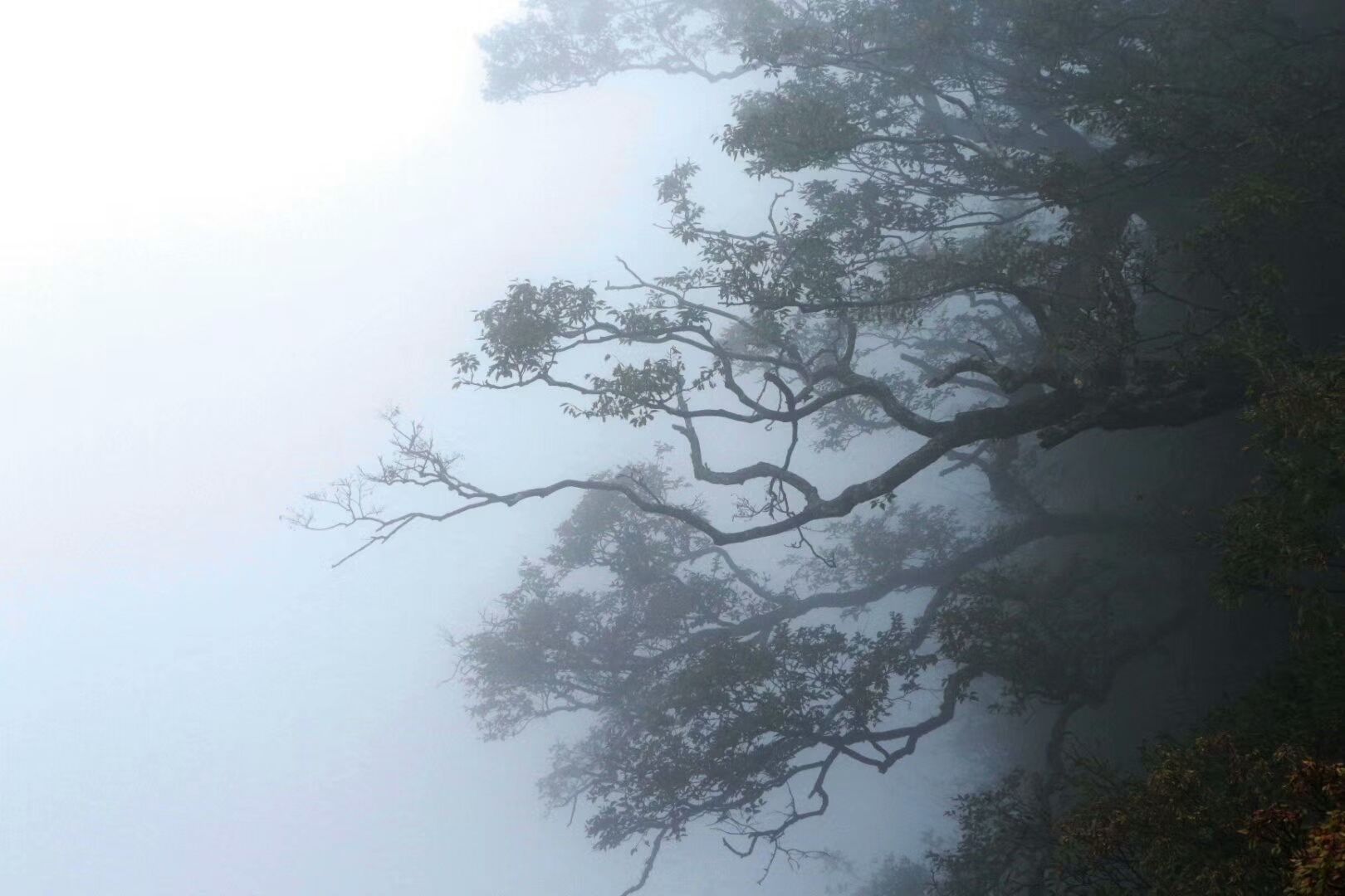 以前只知道张家界是个5A级景区，去了才知道它是处仙境