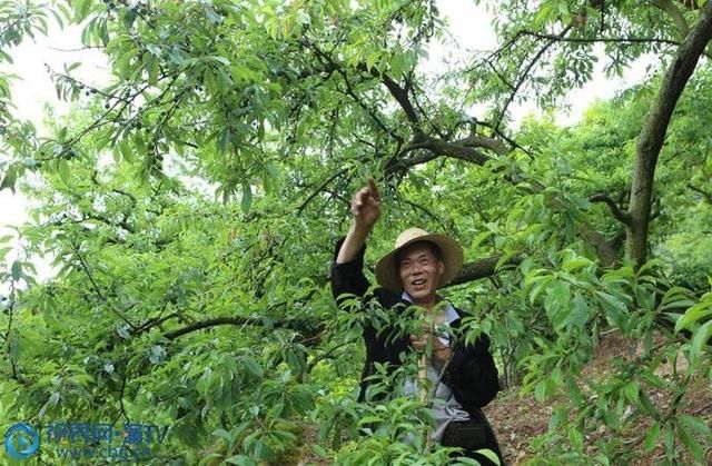  『敲响』重庆巫山：鼓点敲响脱贫路