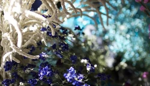 手工@DIY手工制作:用干花做的花艺作品,比鲜花还美!