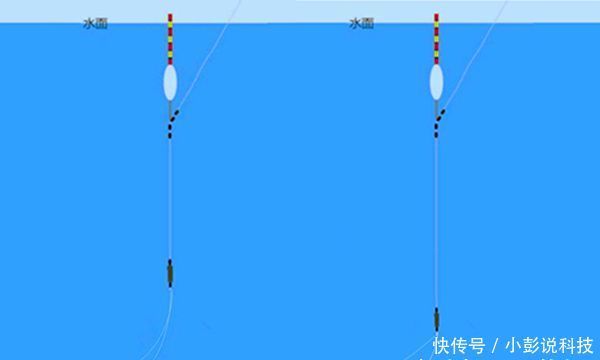  「黑坑」黑坑“偷驴”滑口鱼，试着这样来应对，效率超高，中鱼率有保证