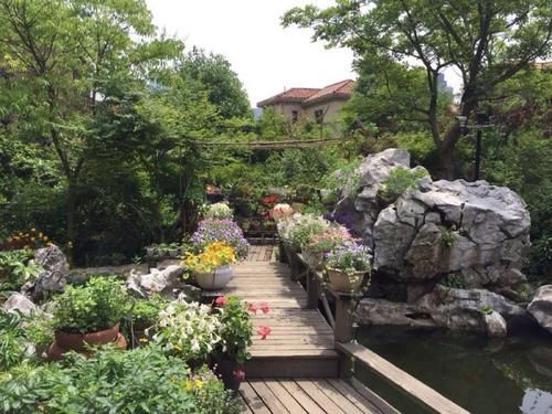  「庭院」等我老了，一定要建个庭院，庭前种竹，四时花开