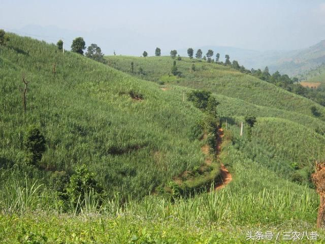 非农户口的承包地不能确权将收回?非农户口承