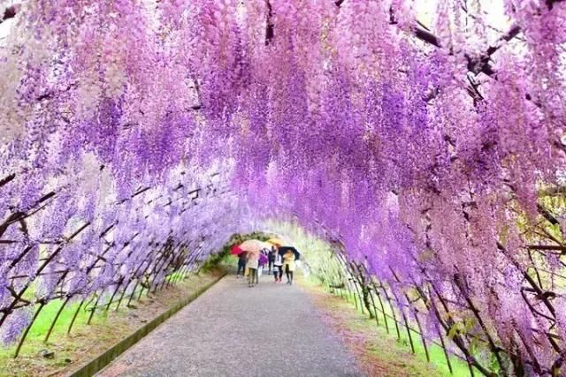 最适合一个人旅行的20个国内外旅行地，2019欠自己一次独自旅行