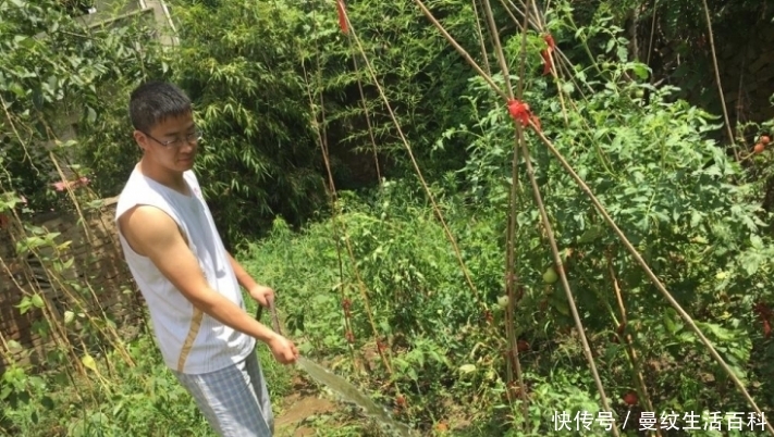  「打井」农村“村村通”开展之后，自来水进入千家万户，农民为