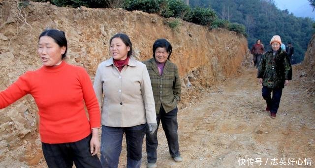 村村通公路成了“村村痛”，到底谁的错专家的回答让农民很无奈