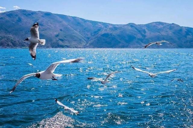 云南最干净的城市，幸福指数直超昆明，你知道是哪里吗