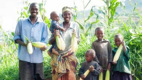  非洲■我国一种机器传到非洲，变成“加速器”，非洲人可感谢中