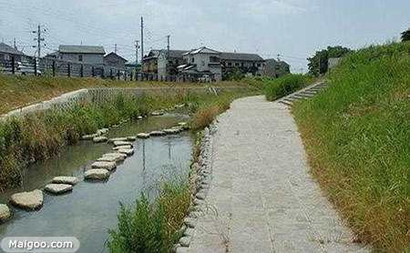 看看日本真实的农村，再看中国的农村，看完才知道差距不是一般大