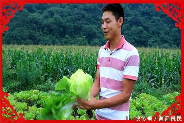  「创业者」农村这几个小项目，很适合一些返乡创业者，大家可以考察一下