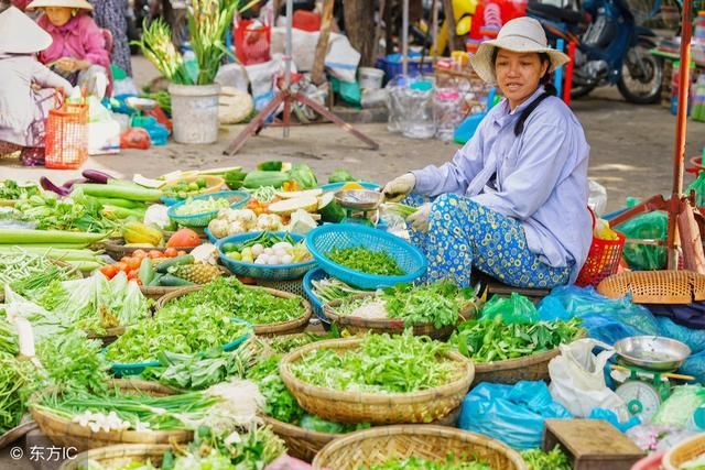 越南导游提醒：遇美女问你要不要“生菜”，别搭理，是个不浅的坑