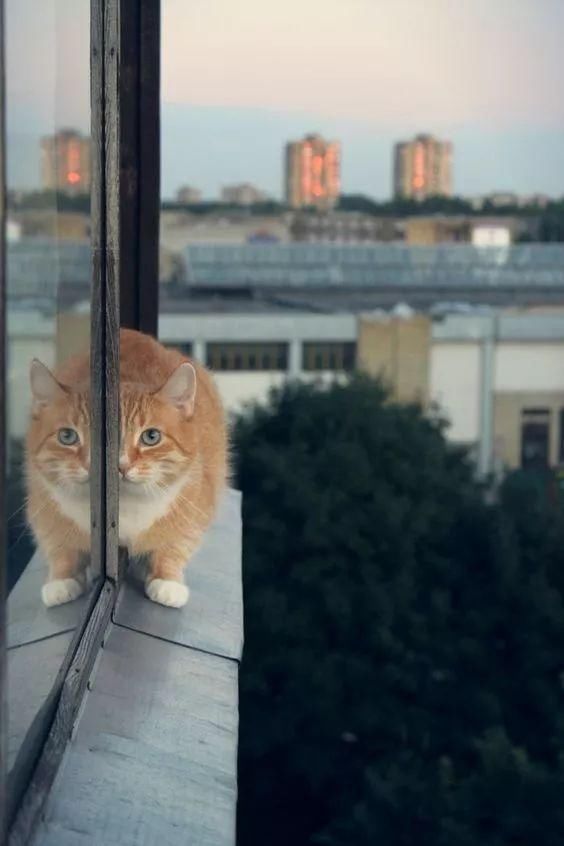 奇妙风光,难得一见