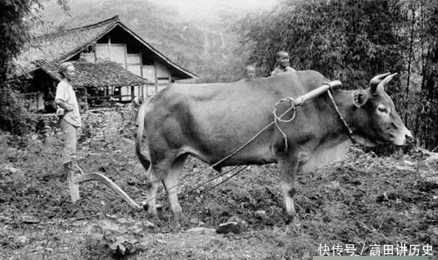 百年前真实农村人生活老照片, 比电视上演的贫苦多了, 令人心酸!