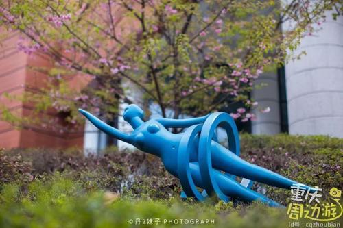 花开成海！再过一周重庆将美翻全国，14处美景玩转这个春天！