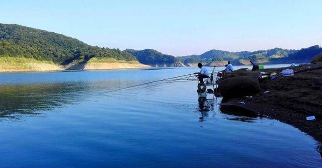  「喜欢」鲶鱼夏季钓鱼小贴士，简单易懂，掌握这些来保护你的渔获满满