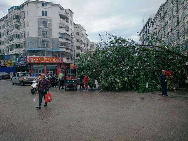 手机兴国在线,兴国头条-兴国事早知道,乐享兴国