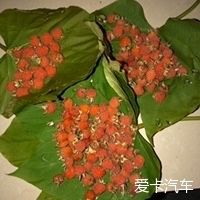  在家：喜欢上在家做的每一件事