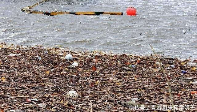  「禁止」为保护环境，洋垃圾进口被中国禁止后，日本发生了变化