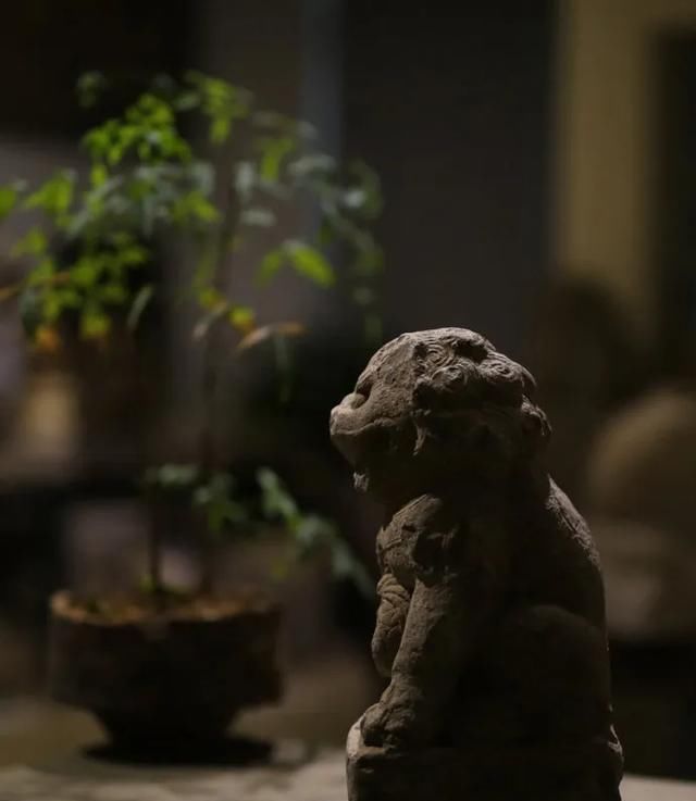  忘记■精选丨善忘，也可以是一种福气