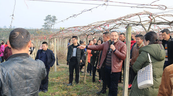  人人|不出几年，农村4种人大概率要富了，机会人人有，农民要把