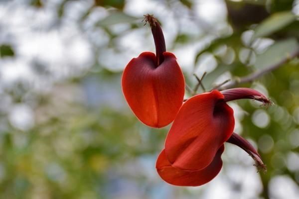 「菠萝蜜」南宁:请打量这夜色
