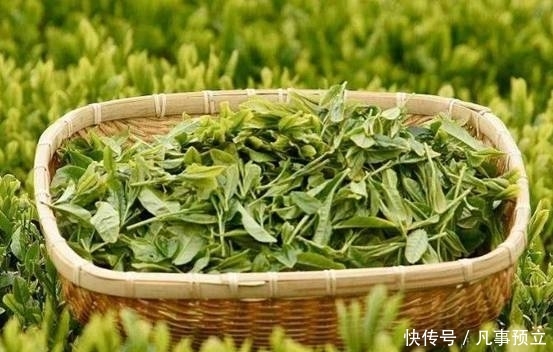 茶叶@茶叶不就是用来喝的吗?你out了,它还可以美白祛斑哦
