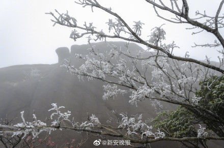 黄山景区现大面积雾凇奇观 本周将迎降雪