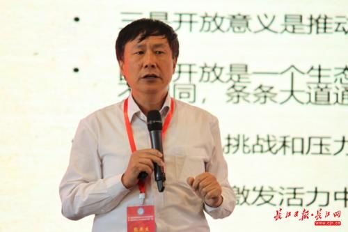  「中部崛起」知名经济学家在汉论中部崛起：武汉的带动作用将会