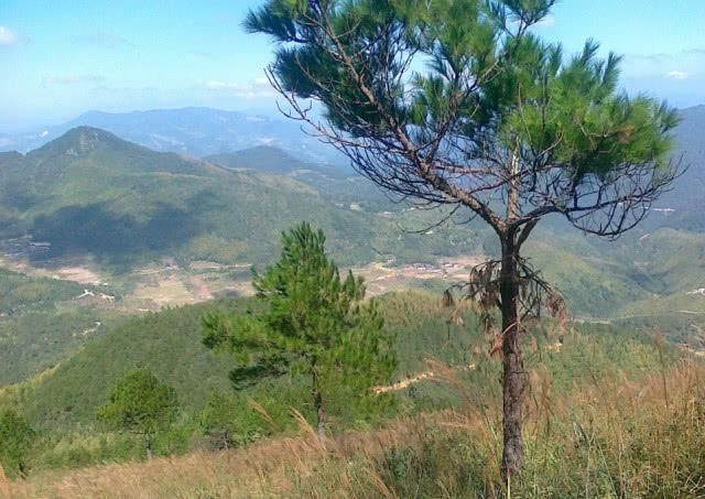 福建被忽视的一座山，有人工巧匠，巧夺天工之美，被誉为地球绿洲