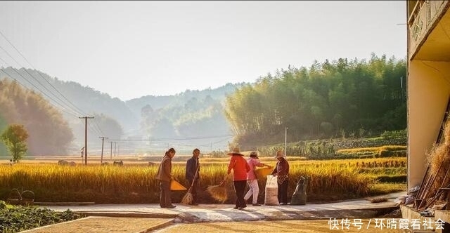  【回村】农村土地荒芜比较普遍，怎样才能使农民自动回村生产粮