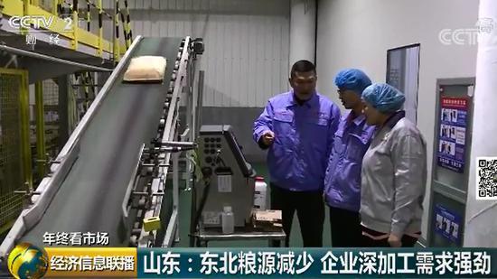 玉米价格高涨背后：东北粮源减少 企业深加工需求旺