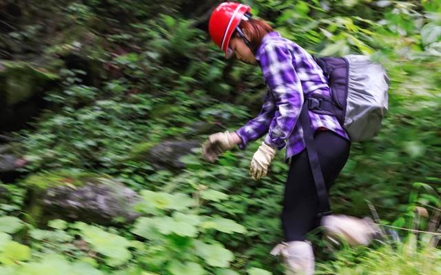 告诉你一个事实千万不要惊讶 距离成都百公里有个“非洲丛林”！