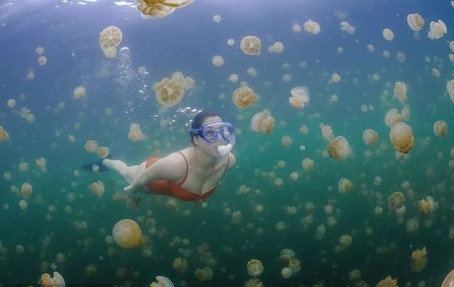 惹恼了中国人民，旅游收入直接减半，网友：免签也不去