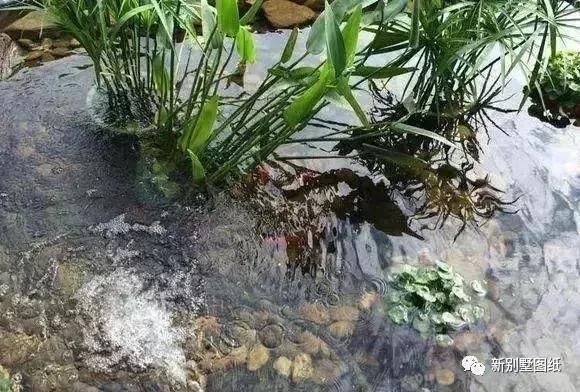 庭院设计|农村大叔手把手教你，一个人挖池塘，小院从此美美的