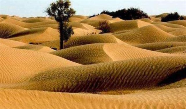  我国：我国面积最大的县，相当于2个浙江、2个江苏或32个上海的