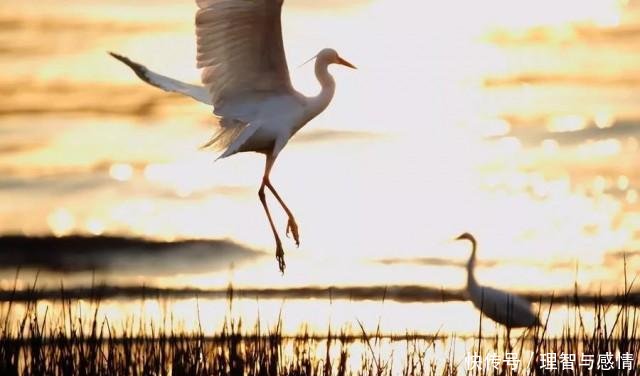 内蒙游玩全攻略来袭，全年各个旅行时间段大盘点