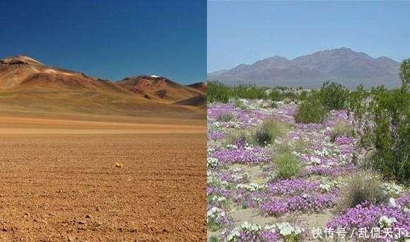  世界|全球最干燥的地区：百年来从未下过雨，却养活了100多万人！