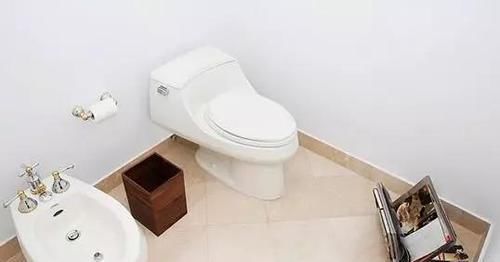  [异味]为什么卫生间看着很干净，却总有股臭味？