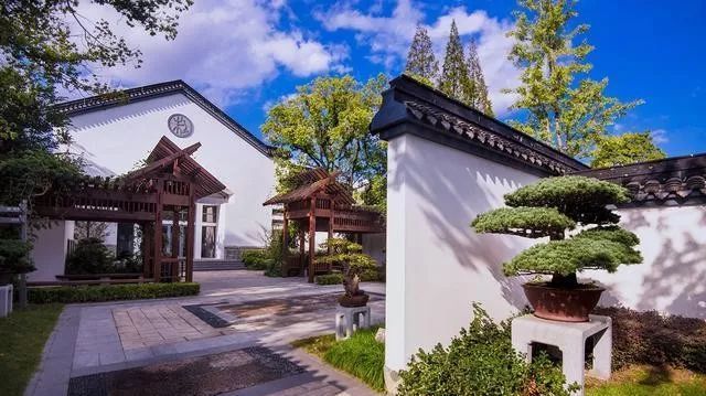 国内最大的专类盆景园,江南园林海派风格美不胜收