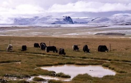 我国陆地面积最大城市：比大部分欧洲国家还大，未来被所有人看好